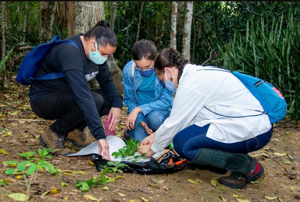 Parque da Matinha faz coleta florística para estudo e preservação da flora